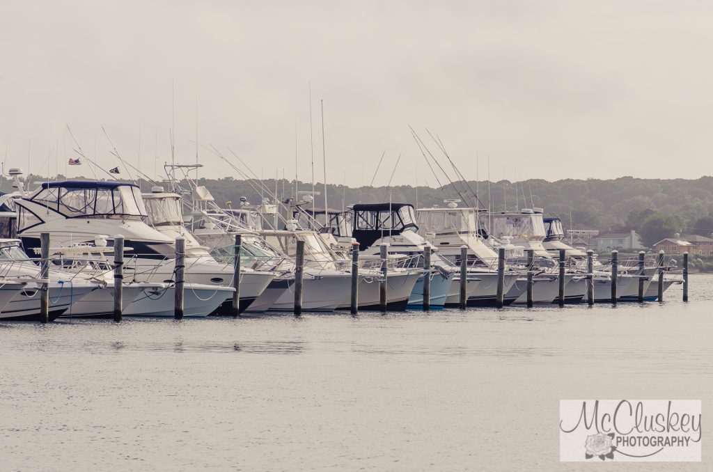 Niantic Marina