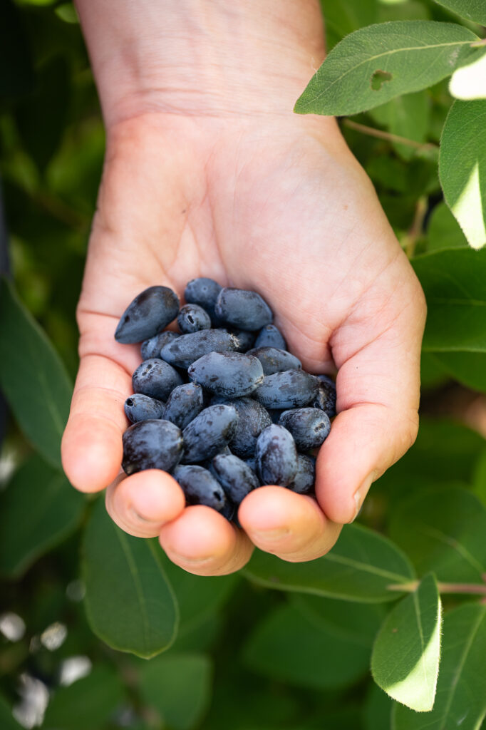 farm and product photographer