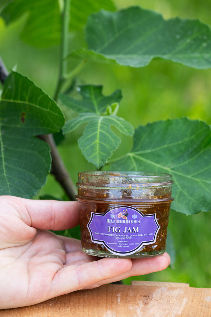 product photographer fig jam